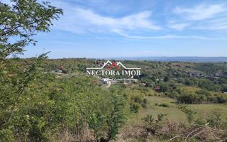 NECTORA IMOB-Teren Saldabagiu de Munte, 2350 mp, 21 ml front stradal - Poză 1