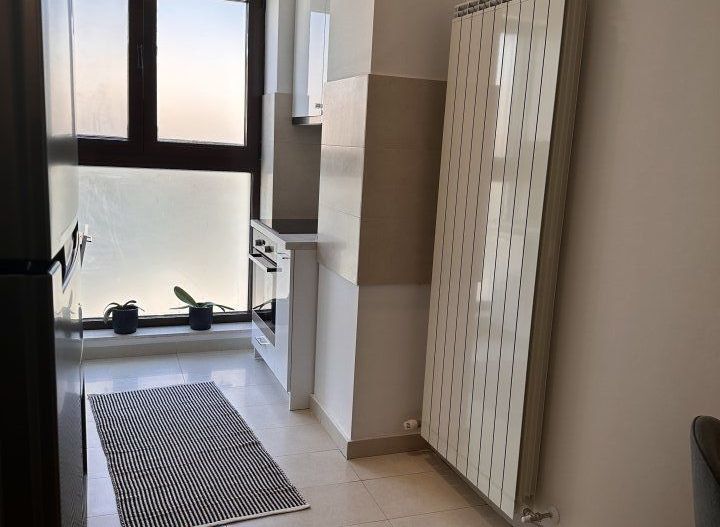 Apartament Herastrau, 3 camere - Poză 5