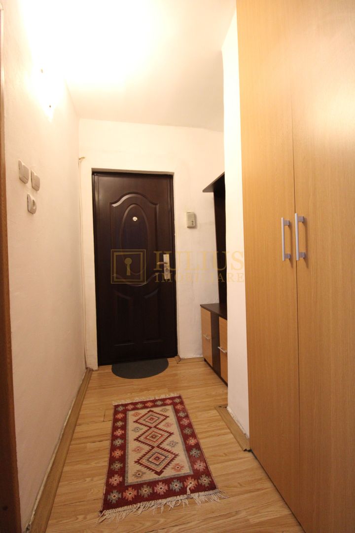 Apartament cu o camera, zona Lipovei. - Poză 7