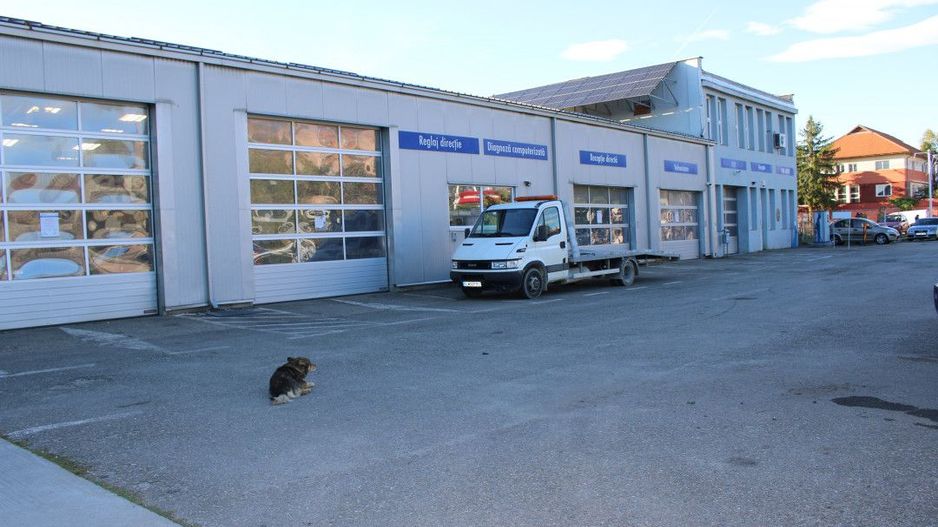 Service Auto Modern și Eficient Energetic în Targu Jiu - Poză 9