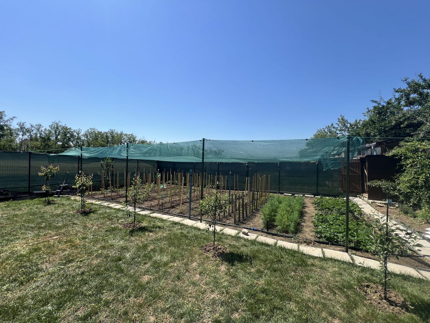 Casa individuala - aprox 900 mp teren - Comision 0 - Direct proprietar - Poză 13