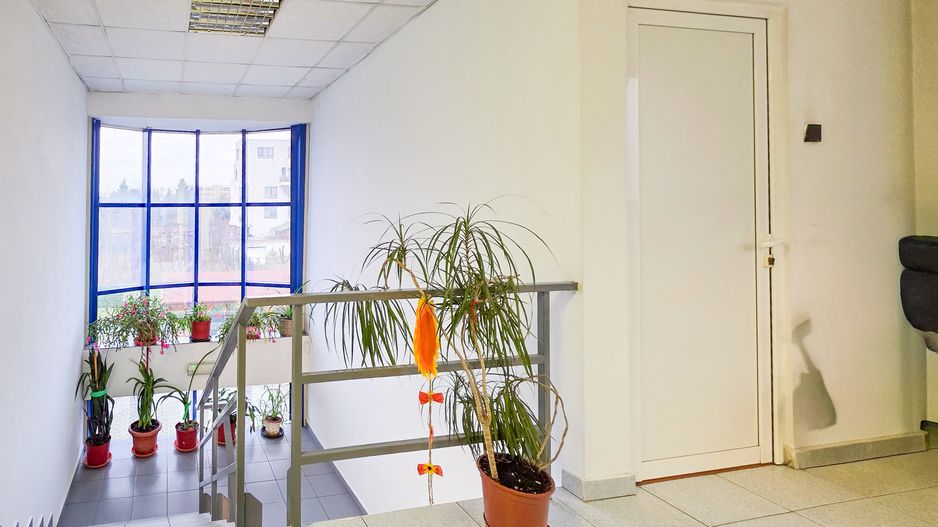 Spațiu industrial–afacere catering la cheie, teren&hală 750 mp S+P+1E - Poză 8