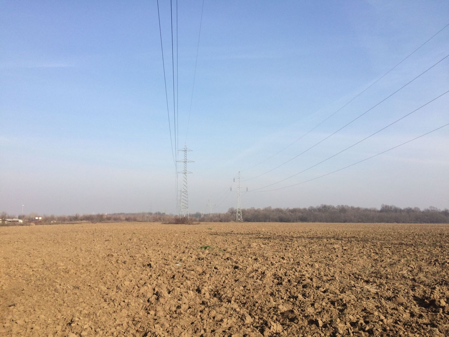 teren Cernica sat Caldararu - Poză 5