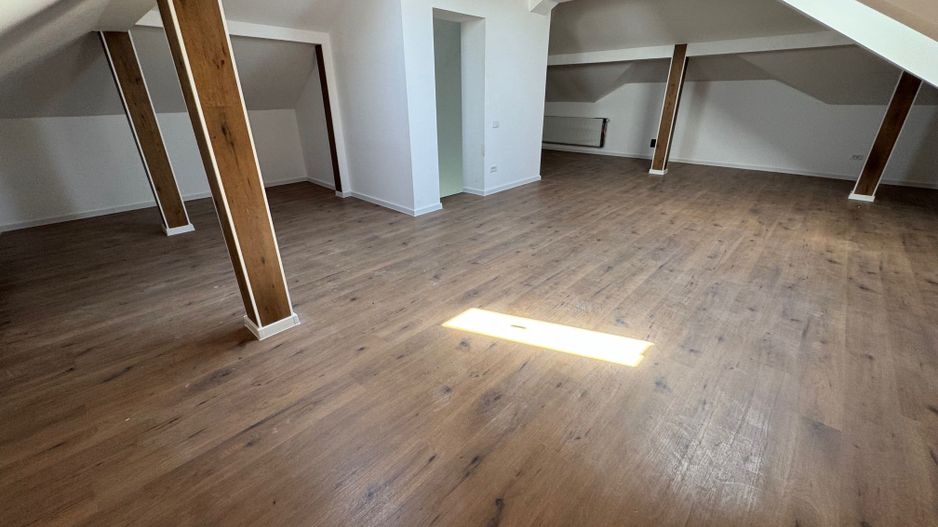 Individuala Otopeni, Odaile, curte MARE, 6 CAMERE - Poză 11