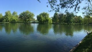 🔑 Vanzare garsoniera – Zona Titan / Matei Ambrozie – ParkLake Mall – Parc IOR - Poză 5