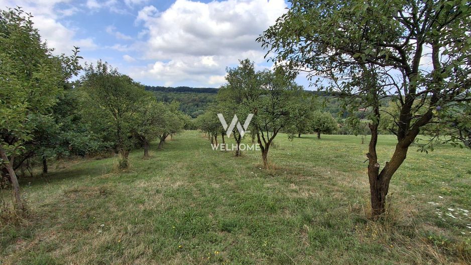 De vânzare teren extravilan în Sibiel, jud. Sibiu – 3223 mp - Poză 4