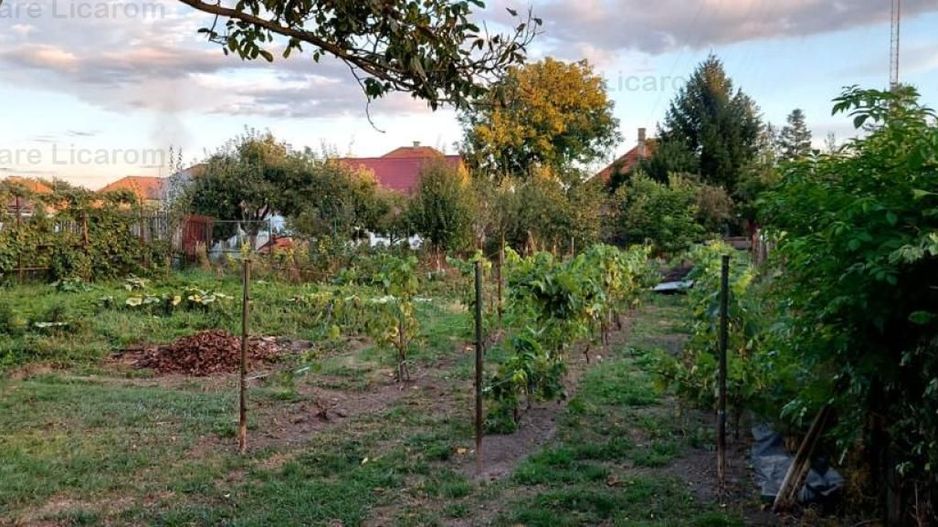 Proprietate individuala Bod S+P+E+M,zona de vile,837mp,149900 eur - Poză 2