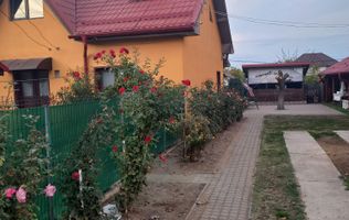 Casa in localitatea Zanoaga- Dolj