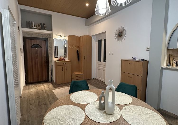 Take Ionescu/Medicina | 3 Camere | Centrala Proprie. - Poză 7