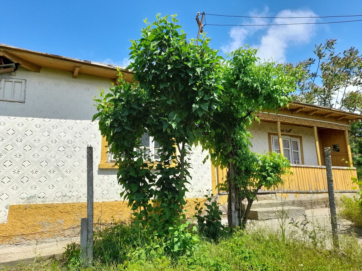 Casă cu teren de 1.470 mp de vânzare – Fântânele, Scânteiești - Poză 36