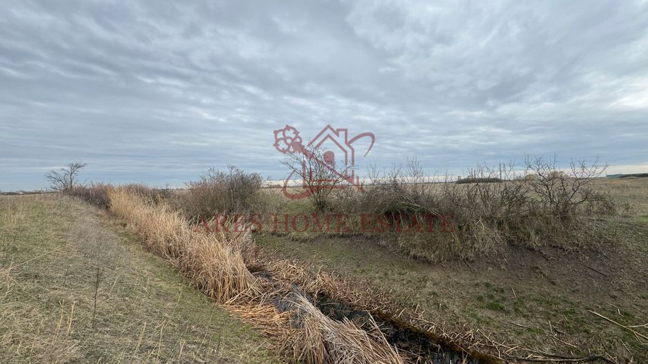 Teren 5.000 mp centura Calea Sagului- Freidorf. Comision 0 - Poză 4