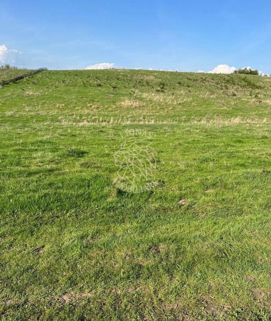 Teren 3300 mp-investitie, case de vacanta, agricultura-Valea Sigmirului - Poză 3