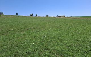Teren extravilan agricol 3.800 mp | Bungard | 3 căi de acces - Poză 7