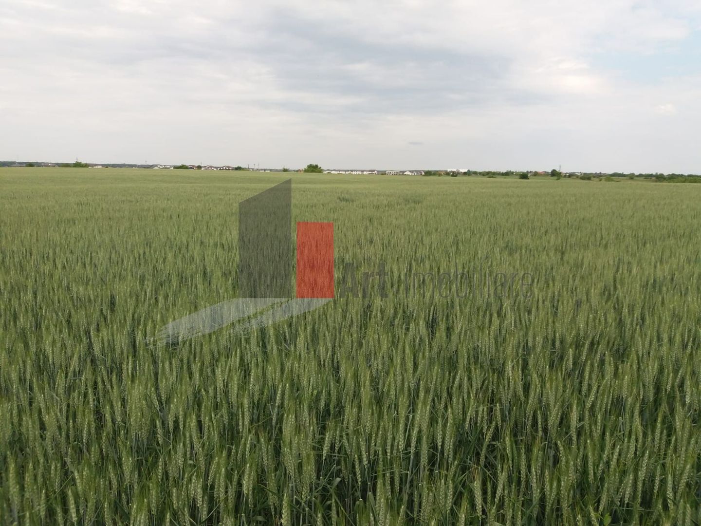 Teren Buftea cu iesire la lac - Poză 8