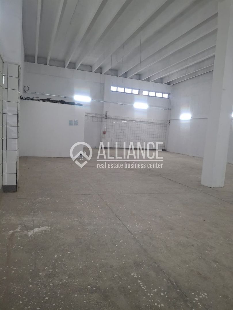 ZONA INDUSTRIALA (COD04)-Hala 270 mp ideal service auto - Poză 3