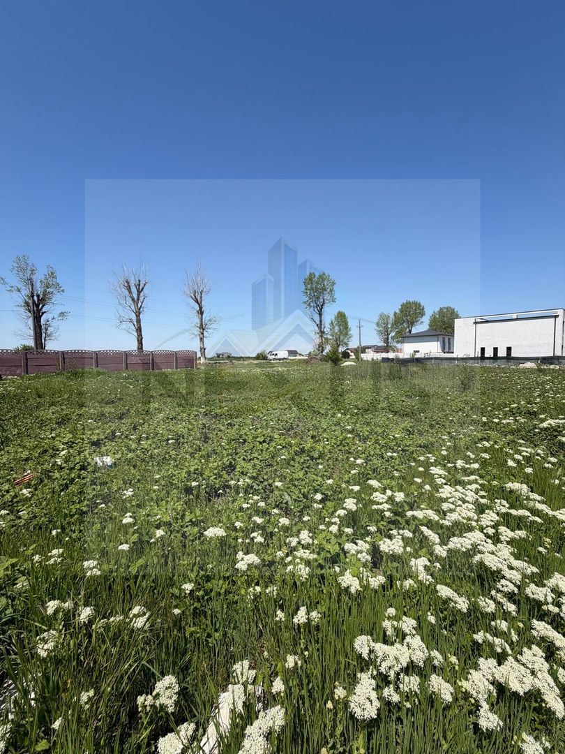 Calea Bucuresti - Teren intravilan - 2 min STB - 375 metri - Poză 2