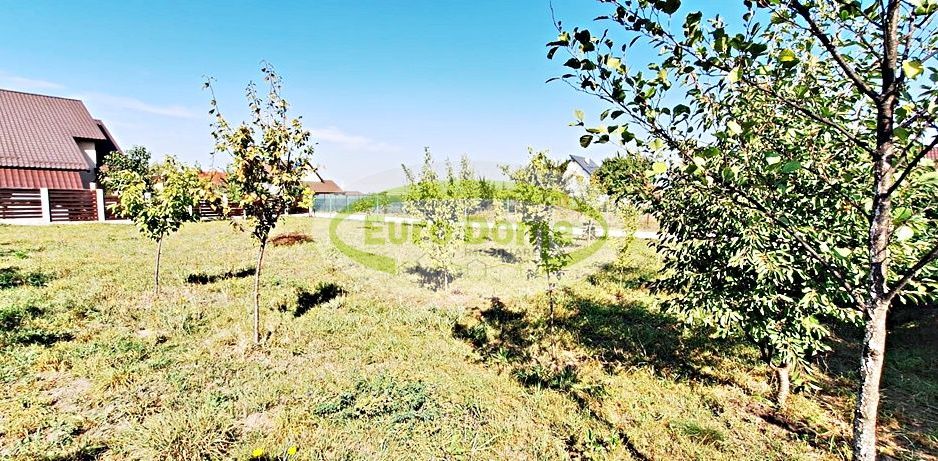 Gradina de 627mp cu utilitati, la intrare in Bod dinspre Sanpetru, 37500 euro - Poză 14