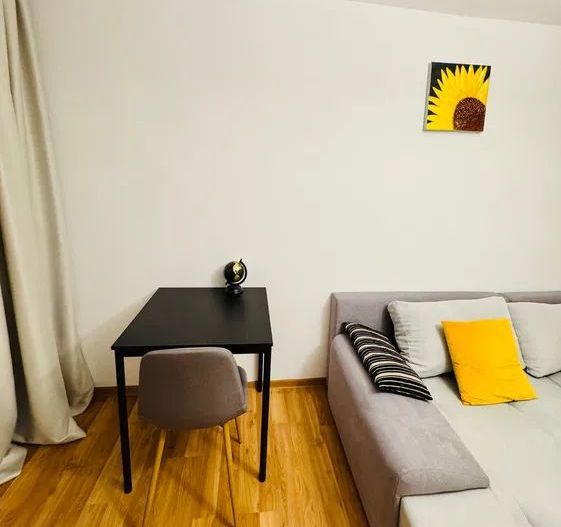 Apartament cochet cu 2 camere și vedere panoramică spre Palatul Parlamentului - Poză 7