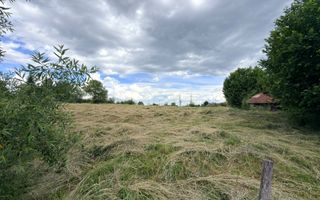 DOUĂ CORPURI DE CASĂ TEREN INTRAVILAN 6997 MP BUGHEA DE SUS ARGEȘ - Poză 6