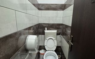 Spatiu birouri , comercial , horeca Tudor Vladimirescu - Bucsinescu - Poză 12