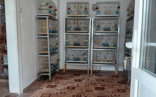 Casa  Galati zona Parcul Carol - Poză 4