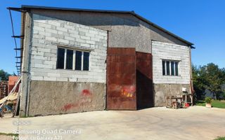 Hala ideala pentru depozitare str.Santaului - Poză 5