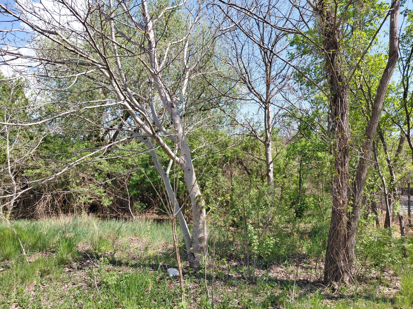 Teren intravilan 3.250 mp în Filești – Ideal pentru casă sau investiție! - Poză 20