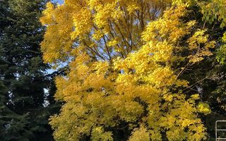 PROPRIETATE CU ENERGIE PURA |  Sanctuarul Eleganței și Rafinamentului - Poză 25