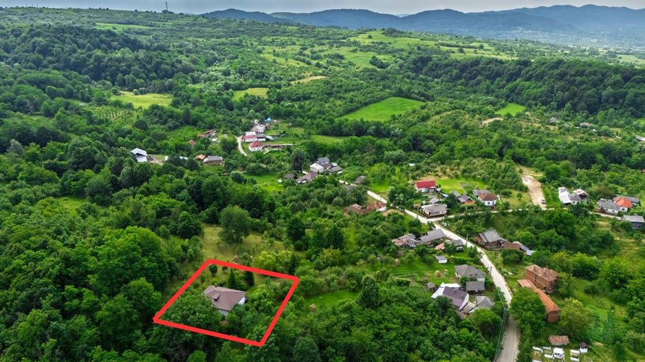 Casa moderna si casa bunicii + 6300 mp teren,Oaza autentica in Corbi Arges- - Poză 24