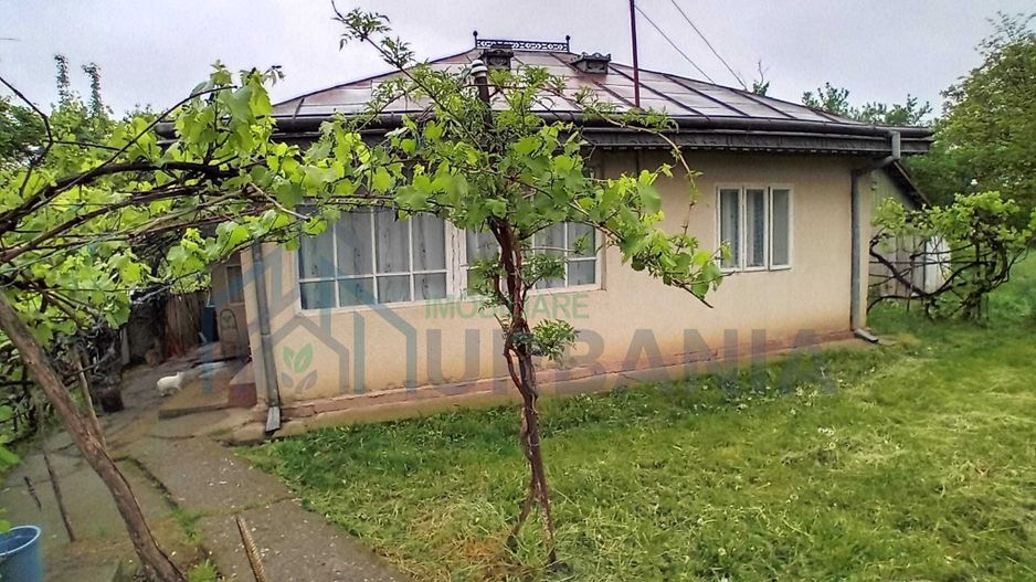 Casă cu grădină și anexe în Hoișești, la 20 minute de Iași - Poză 1