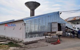 COMISION 0% - HALE Calinesti Arges - Poză 26