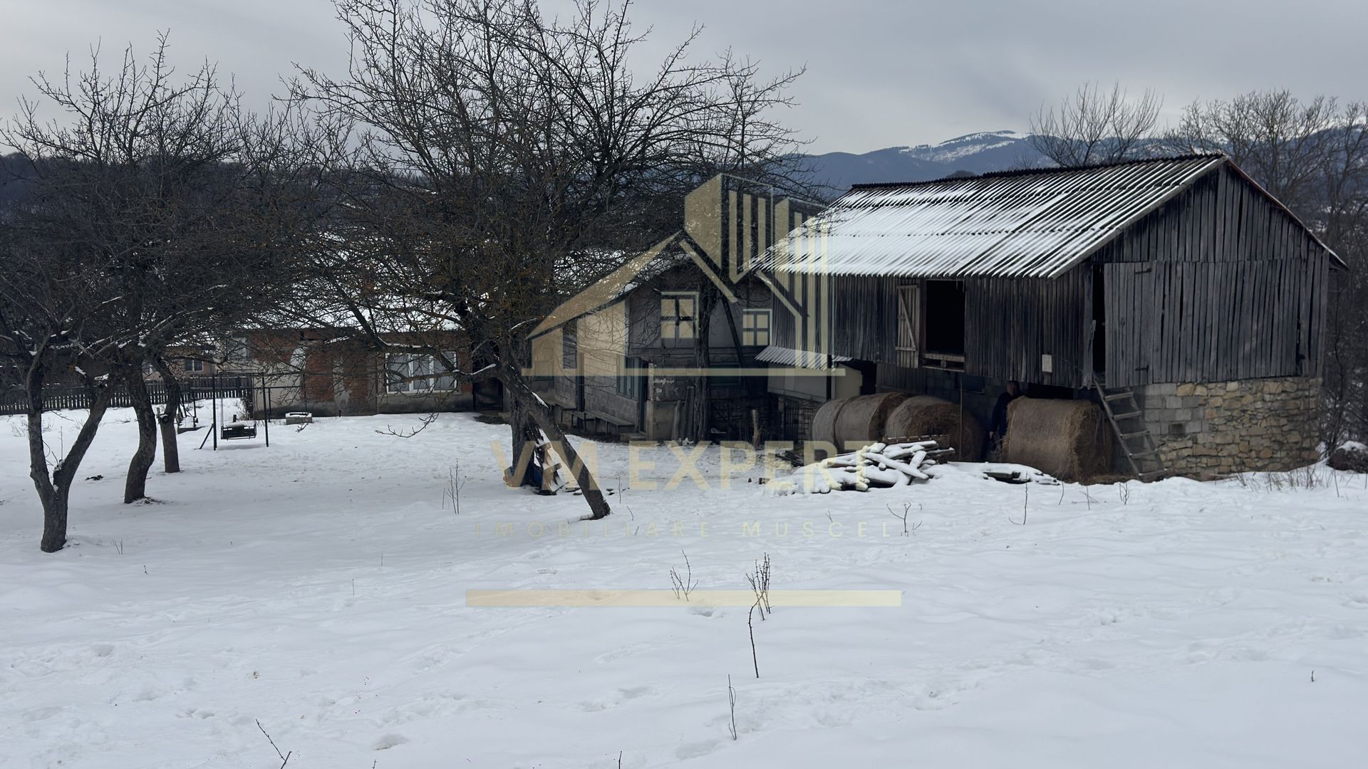 CASĂ 4 CAMERE TEREN 3038 MP ALBEȘTII  DE MUSCEL - Poză 39