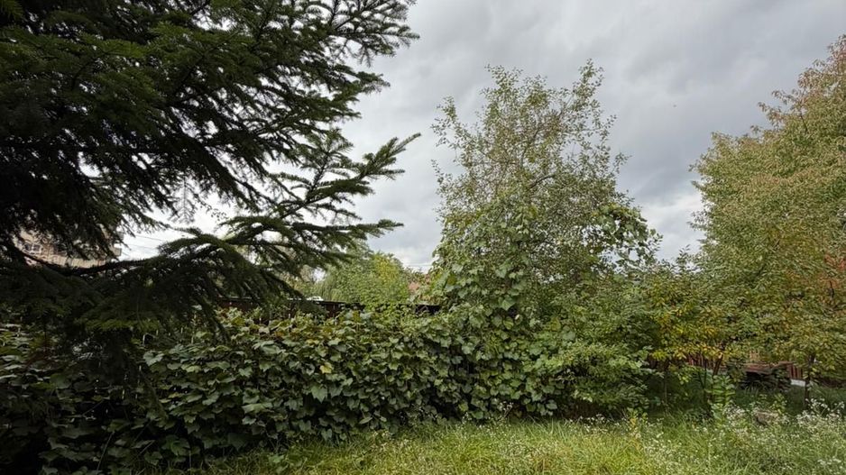 Casă complet renovată, pentru locuință sau pensiune turistică! - Poză 19