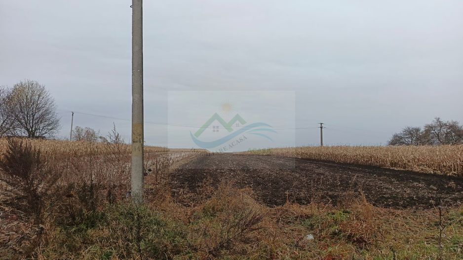 Teren de vânzare Vornicenii Mici/Moara/Suceava - Poză 3