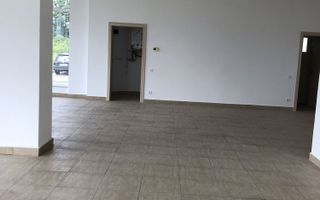 Spatiu comercial luminos | Doamna Stanca | 85 MPU - Poză 2