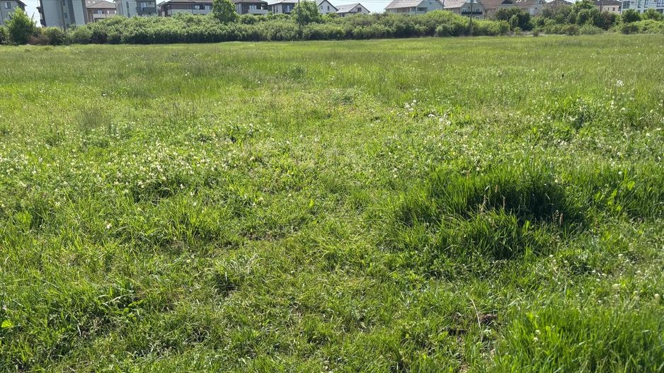 Teren de 721 mp cu Urbanism aprobat pentru duplex - Poză 5