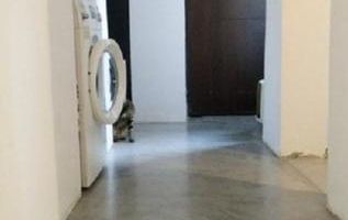 VANZARE APARTAMENT DEOSEBIT | PIATA VICTORIEI | 6 CAMERE | 126MP | - Poză 12