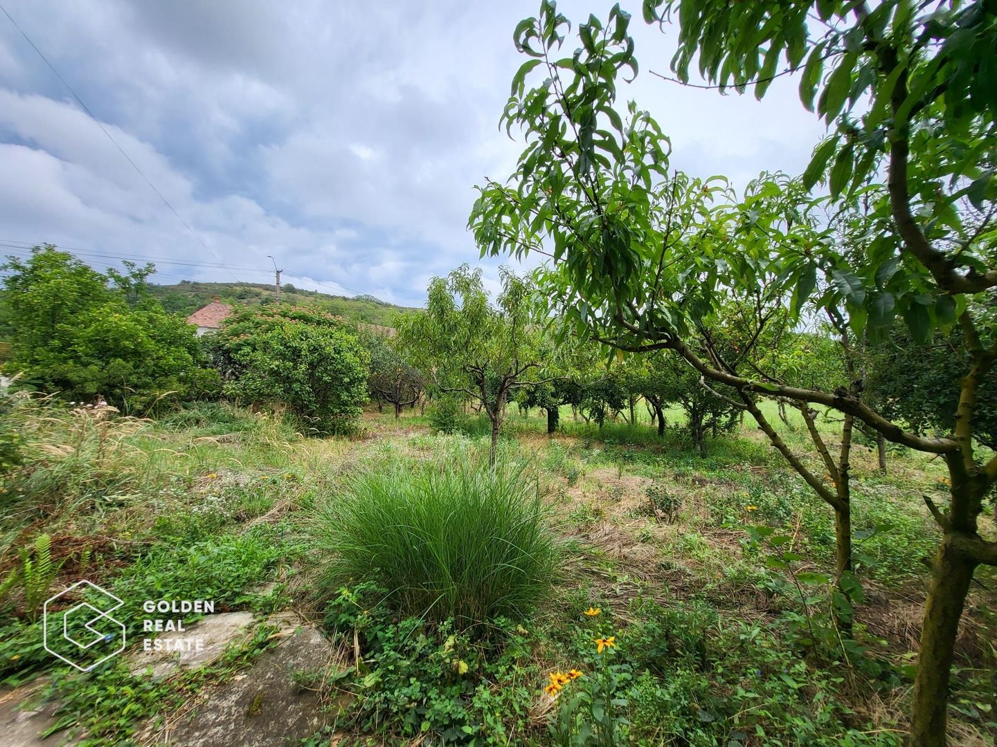 Casa cu D+P+E, 3500 mp teren, zona centrala, Paulis - Poză 19