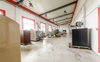 Hale depozitare/producție 2.000 mp si 10.000 mp teren în Pecica - Poză 10