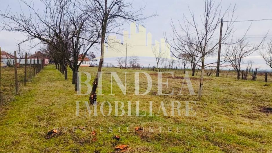 Teren Intravilan 30euro/mp pe colt- Bencecul de Sus - Poză 6