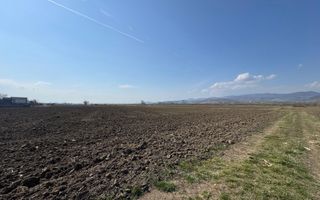 Teren intravilan | 1600 mp | 16 ml deschidere | Oarda de Jos - Poză 2