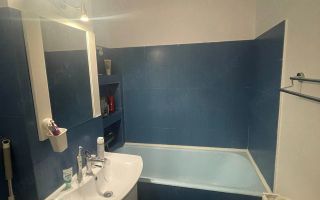 Apartament 2 camere zona Blascovici - Poză 8