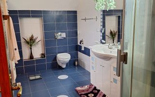 Vilă Elegantă în Cartierul Europa – Liniște și Confort - Poză 14