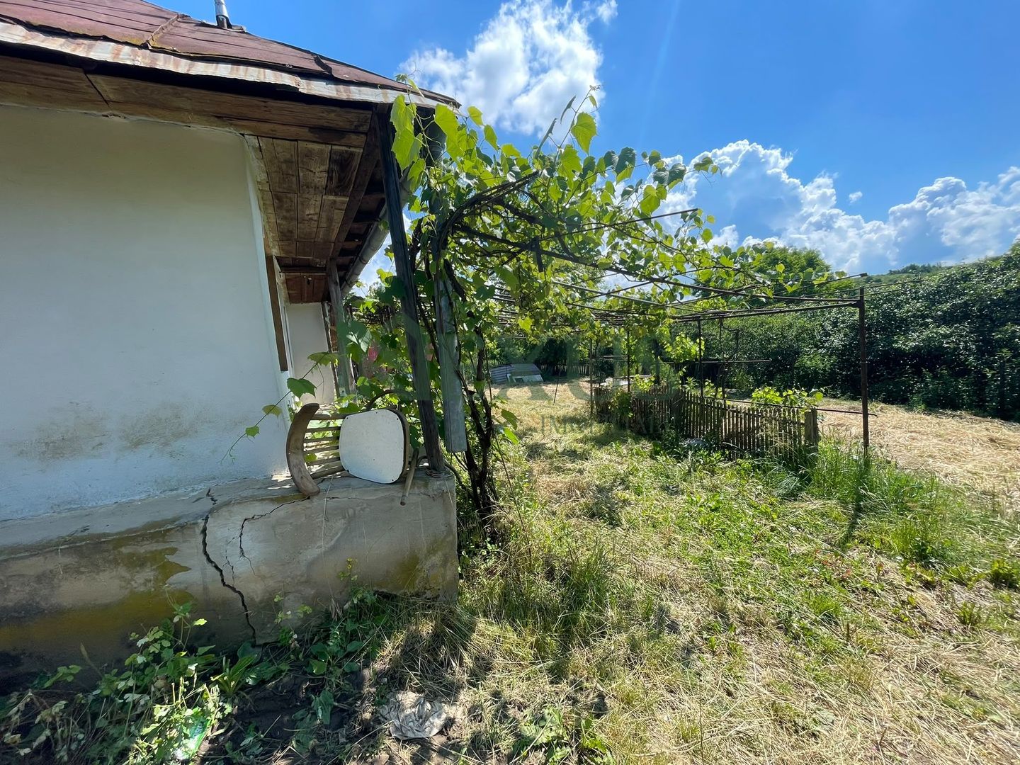 Casă bătrânească cu teren de 3.200 mp în Hertioana de Jos, jud.Bacău - Poză 8