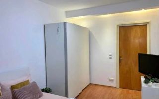 Apartament 2 camere Tineretuolui Pet-Friendly - Poză 7