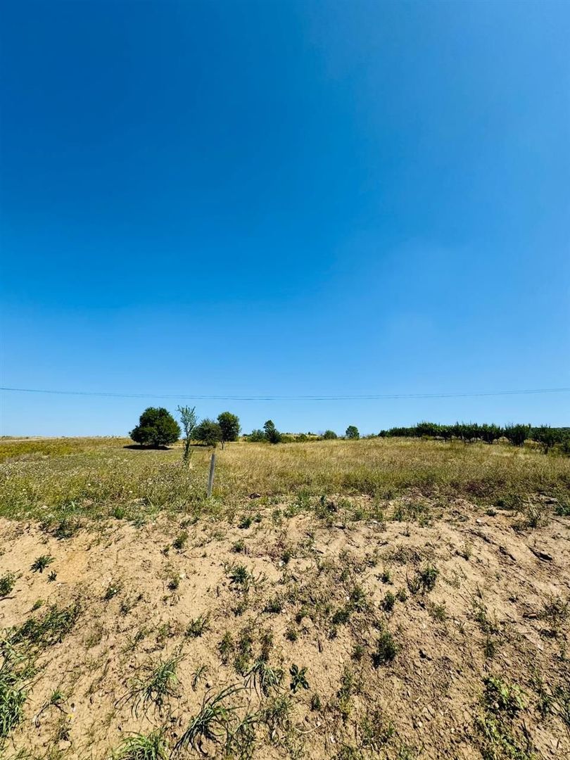 Teren Intravilan Baile Felix cu acces din E79 - Poză 3