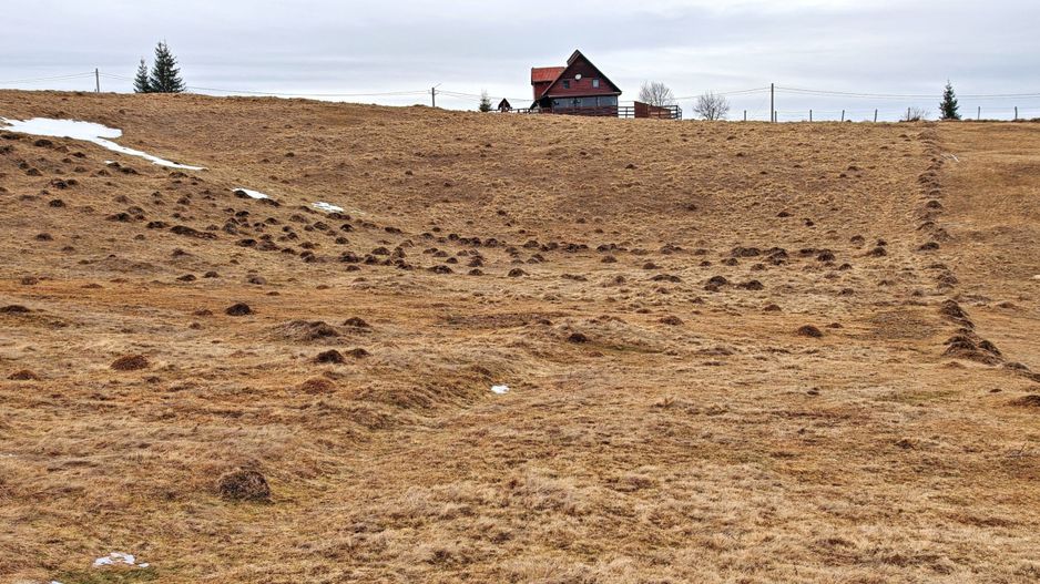 4663mp, in Statiunea Turistica Montana BELIS – FANTANELE, jud. Cluj - Poză 3