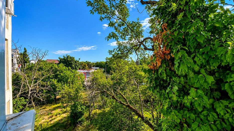 Apartament 2 camere | Pajura | renovat | vedere libera - Poză 5