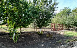 Teren intravilan localitatea Iratoșu - Poză 5