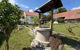 Casa individuala cu teren generos – 8.356 mp – Tichindeal, jud. Sibiu - Poză 4